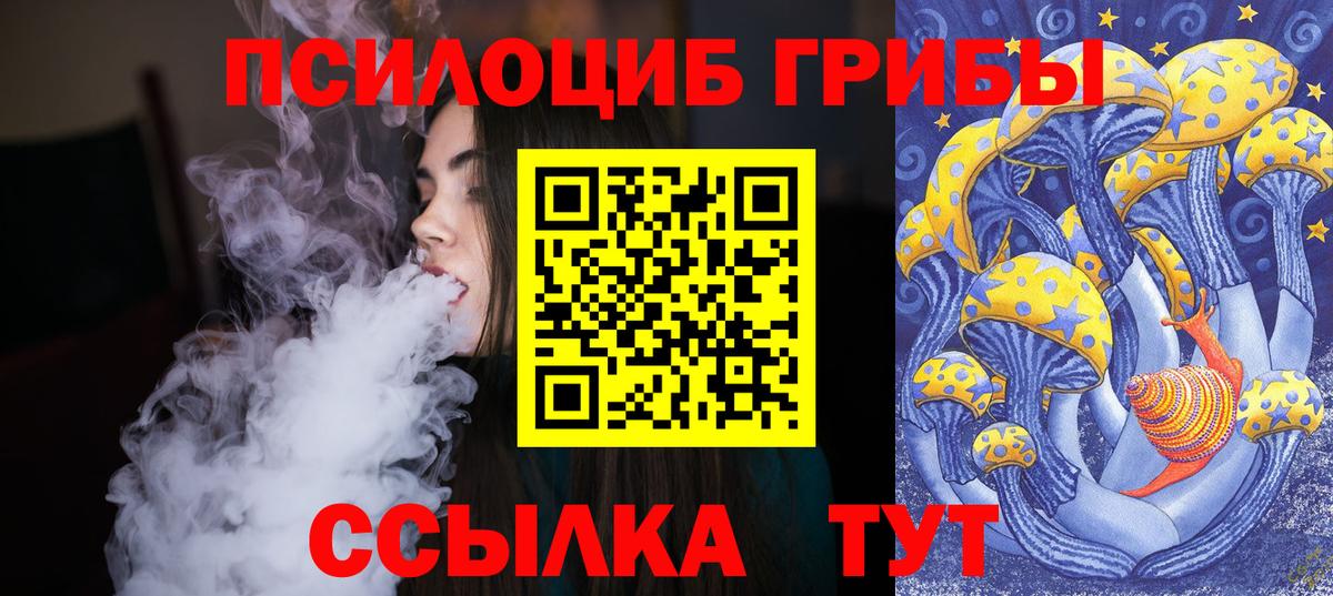 Псилоцибиновые грибы Psilocybe  Вход с VPN  Гурьевск 