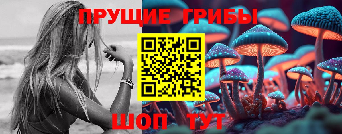 Псилоцибиновые грибы мухоморы Гурьевск